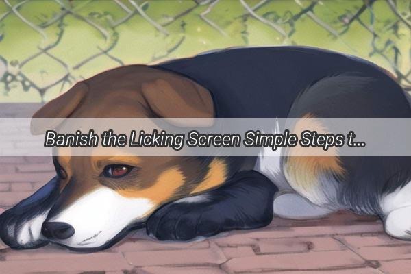 Banish the Licking Screen Simple Steps to Protect Your Tech from Your Furry Friends Affection